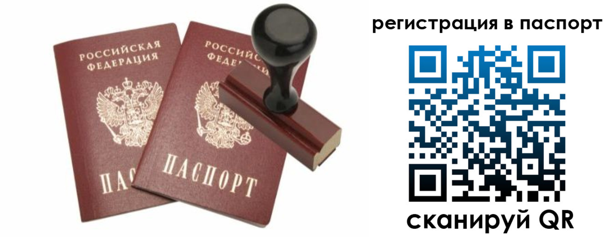 прописка для работы в Павловске